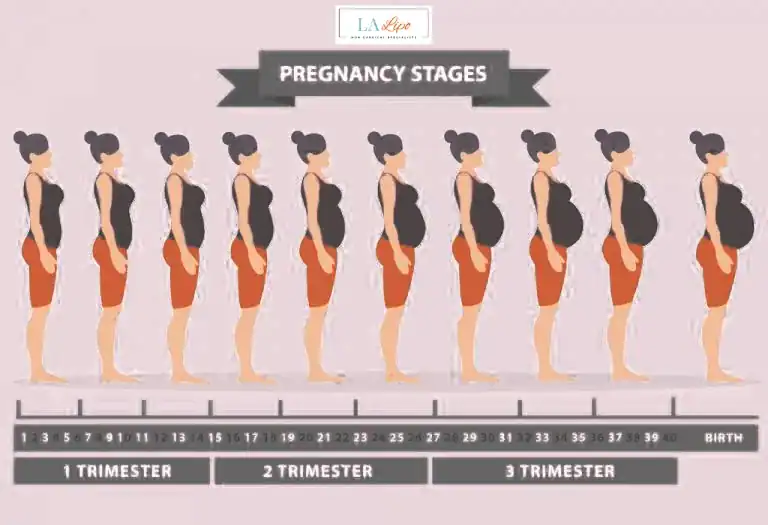 First Trimester (Weeks 1–12): Early Changes You Might Not Notice Neasden